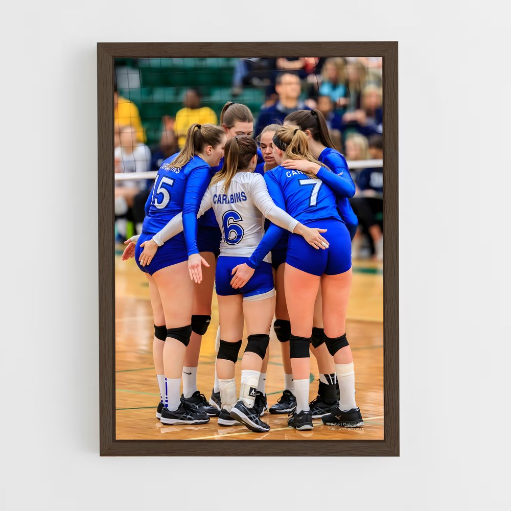 Poster Volleyball world regroupe (vue 5)